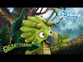 Gigantosaurus| Een Artiest is Geboren ? | Disney Channel NL
