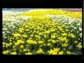 Agricultura en Israel- Sus avances tecnológicos