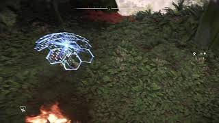 【実況】Horizon 2 Forbidden West まったりプレイ part42