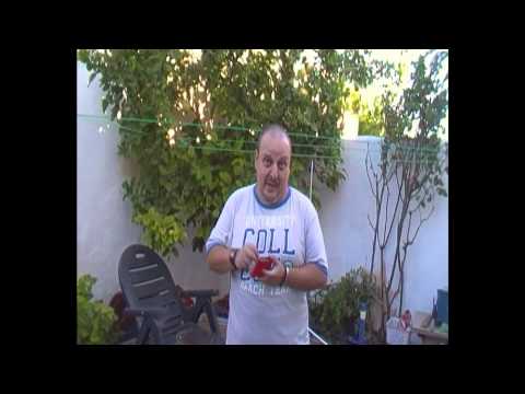 EL COMPÁS DE TU GENTE - Manuel López "Lupi" - "Yo sé que mi caja"