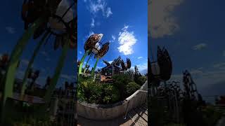 You walk up a few stairs… and suddenly it opens up like this 🌊This is the Celebrity Apex