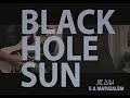 Black Hole Sun