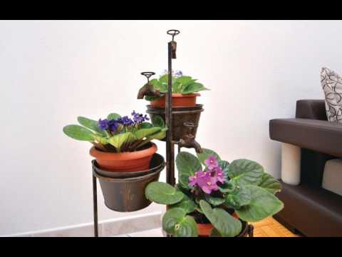 Apartment Podstrana with Sea View VIII - Podstrana - Croatia