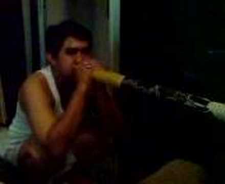 Didgeridoo Disturbing Peace And Quiet