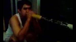Didgeridoo Disturbing Peace And Quiet