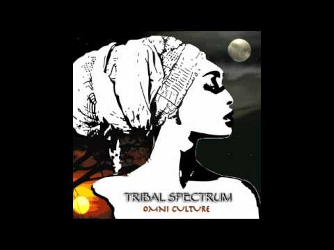Tribal Spectrum- Unconditional Love (Marv Ellis Remix)