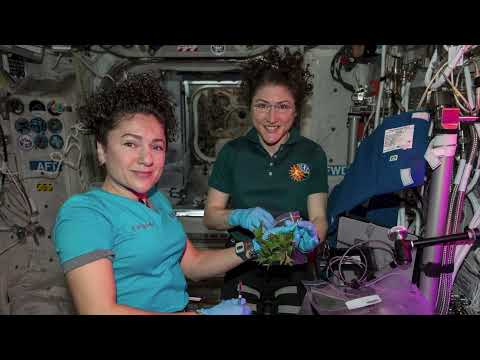 Expeditions 61/62 Crew Debrief