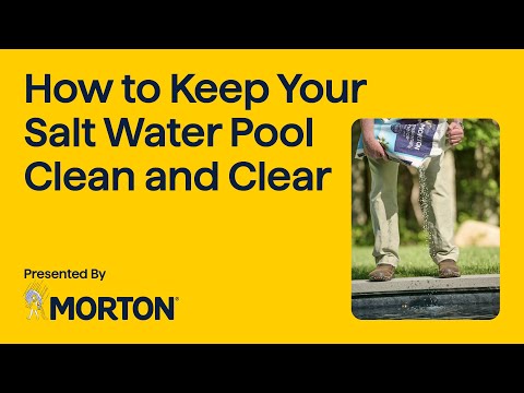 How to Keep Your Salt Water Pool Clean and Clear