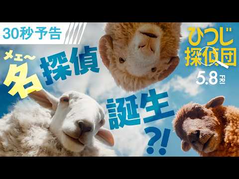 ひつじ探偵団 Video5