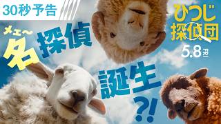30秒予告＜名(メェ～)探偵誕生！＞（字幕版）