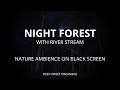 Soothing NIGHT FOREST Sounds - 8 Hours of Nature Ambience - For Relaxing, Sleeping, ASMR