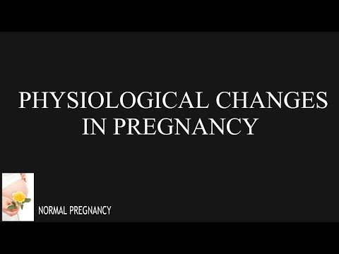Physiological Changes In Pregnancy