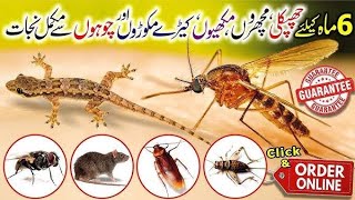 Get rid of rats, Mosquito, cockroach, lizard with homemade spray|powerful insects killer remedy🙄
