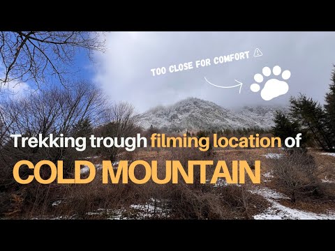 Trekking through Dracula’s Land to find Cold Mountain’s secrets - wild bears & good friends around 🐾