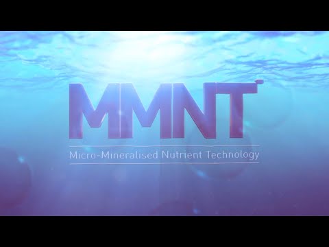 MMNT Technology - Return Legacy Indonesia
