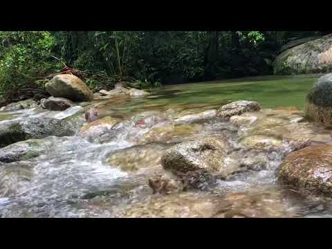 Must See Misty Mountains