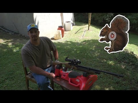 Full Review On The Hatsan Flash .22 Caliber PCP Air Rifle (Accuracy & Power Testing)