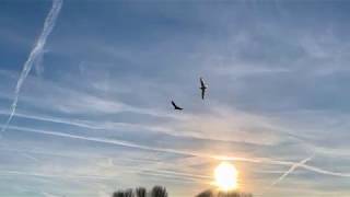 Joe Cocker | The simple Things