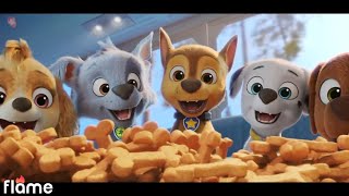 Paw Patrol / Baha Men - Who Let The Dogs Out (Damitrex Remix)  Funny video