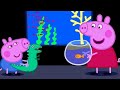 Peppa Wutz Peppa Besucht Das Aquarium Peppa Pig Deutsch Neue Folgen Cartoons Für Kinder