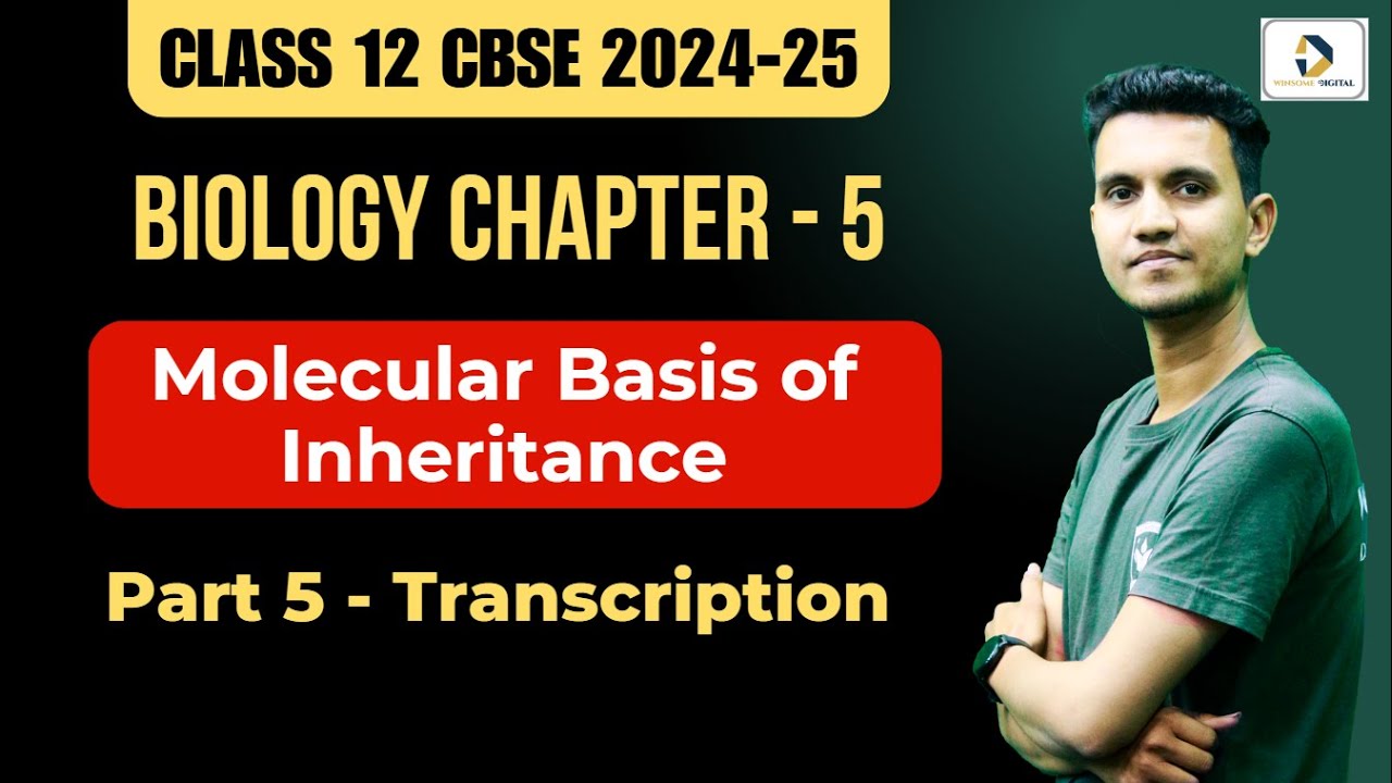 Class 12 Biology Chapter 5 |Molecular Basis of Inheritance | Part 5- Transcription