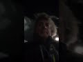 Kurt Kelly Hollywood NIGHTS Saturday night live from Hollyweed  UNCLE SAM YOUR LATE WTF IS THE SWOMP