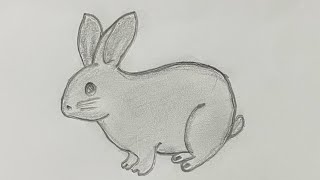 How to Draw a Rabbit | Easy Bunny Drawing for Kids and Beginners