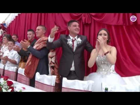 VESELJE U PORODICI JANIĆ - GRABOVAC - JOVANINA SVADBA - MANEKEN I NISKE