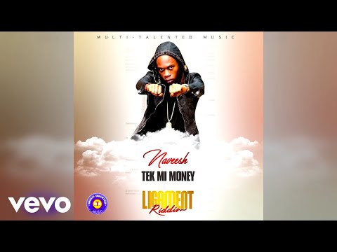Naveesh - Tek Mi Money (Official Audio)