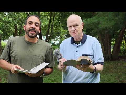 ¿Qué es la marca de la bestia en Apocalipsis 13? (Apocalipsis 13:16-18)