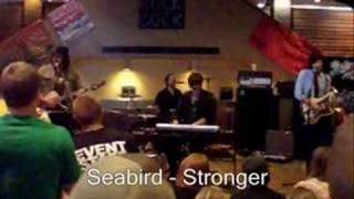 Stronger - Seabird