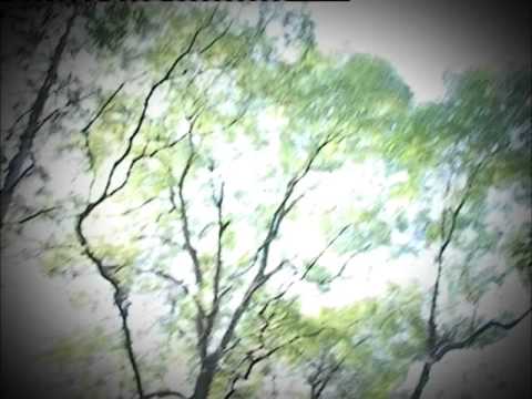 SLOVENSKA MITOLOGIJA - VILA