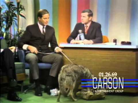 Johnny Carson Blooper: A Coyote Answers Nature's Call on "The Tonight Show" - Johnny Carson - 1969