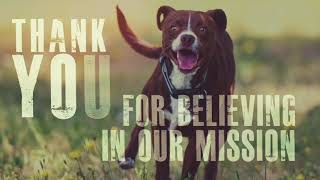 What a Difference a Year Makes