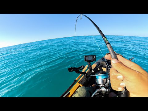 Florida Keys Fishing - Biggest One I've Ever Seen | One Mile Out