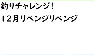 電波人間のRPGFree！,#496,釣りチャレンジ！12月,リベンジリベンジ,　#電波人間　# 釣りチャレンジ！　 #電波人間のRPGFree