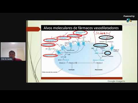 1° Semana da Farmacologia  - Aula 2