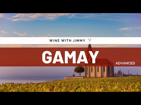 Grape Varieties - Gamay Advanced ideal for WSET Level 3 and Level 4 (WSET Diploma)
