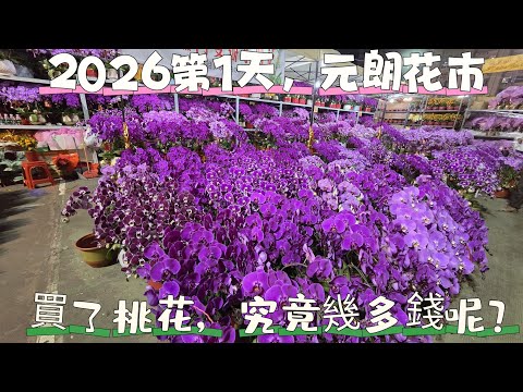 【I❤️HK～元朗花市】(cc)12/2/2026元朗第一天花市，買了桃花，究竟幾多錢呢？現場人流，還有很多學生的展品。#元朗#新年#花市