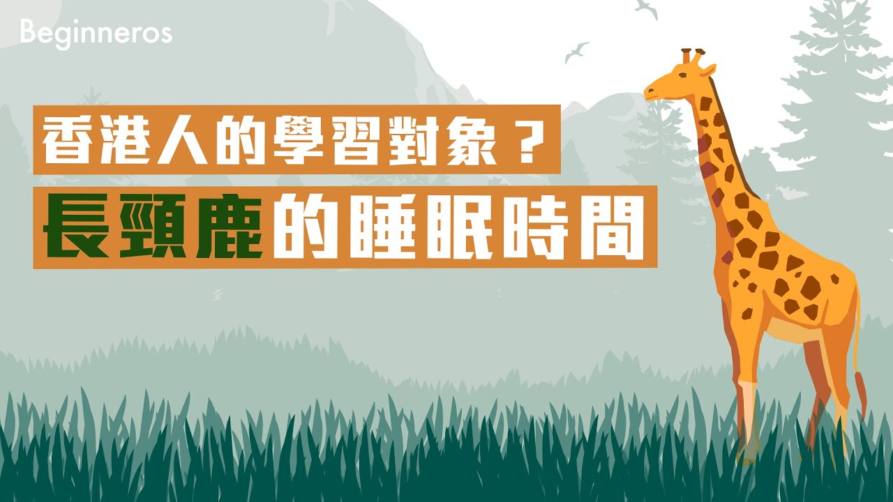 長頸鹿的睡眠時間