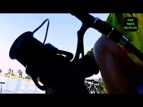 🇿🇦 Carp fishing - Donnies Bottom Lake 🎣