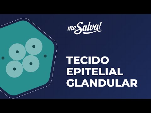 Tecido Epitelial Glandular - Histologia Humana - Me Salva! Saúde