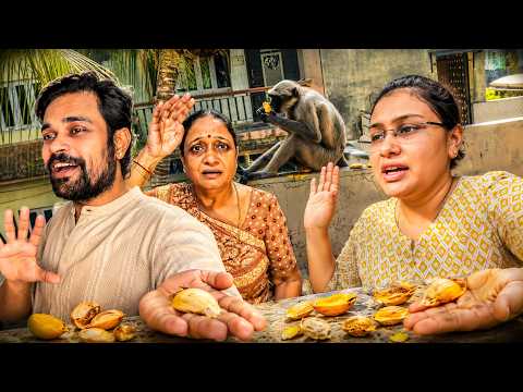 vanar sena mango ki sari guthli kha gaye aur finally didi kuch dino mein aa rahi hai !
