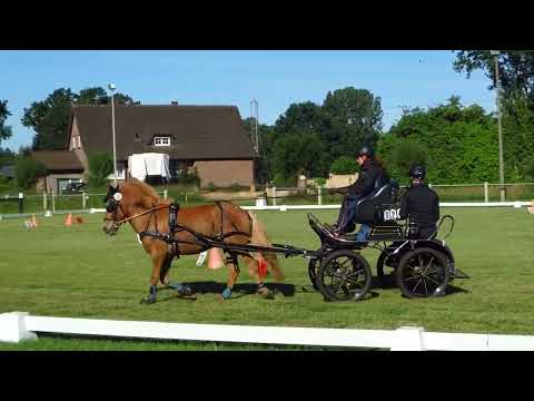 Fahrturnier Dörenthe 12.6.2022