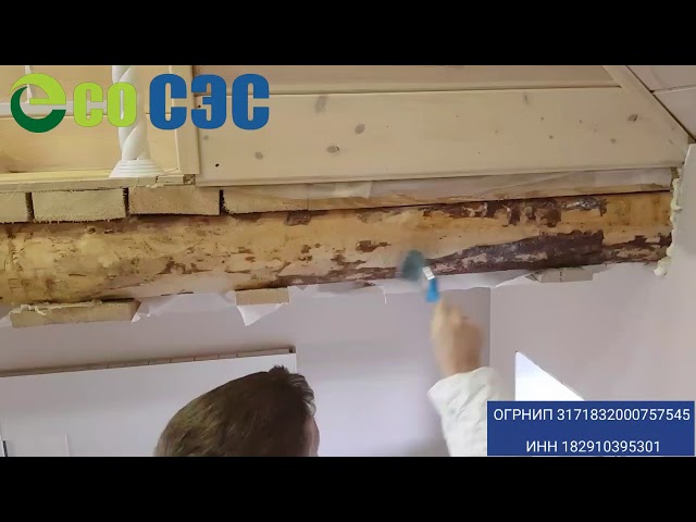 Видео обработки