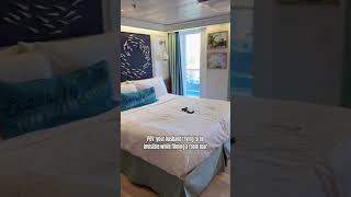 Just trying to film a cruise room tour…