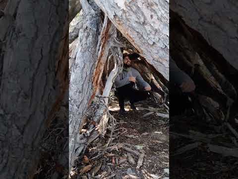 Laguna Negra, Tolhuin