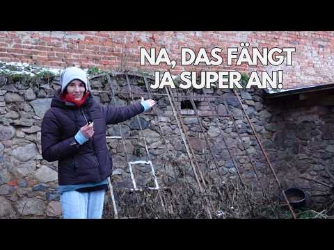 Unsere Pläne für 2026 - Baustellen, Garten & Vorratskammer