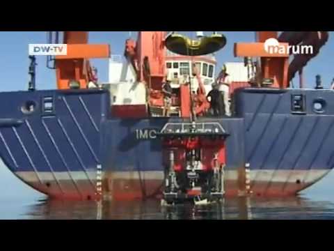 Leben in der Tiefe | Projekt Zukunft