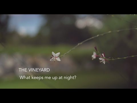 Skugga  - The Vineyard  - What Keeps Me Up at Night (EP2)